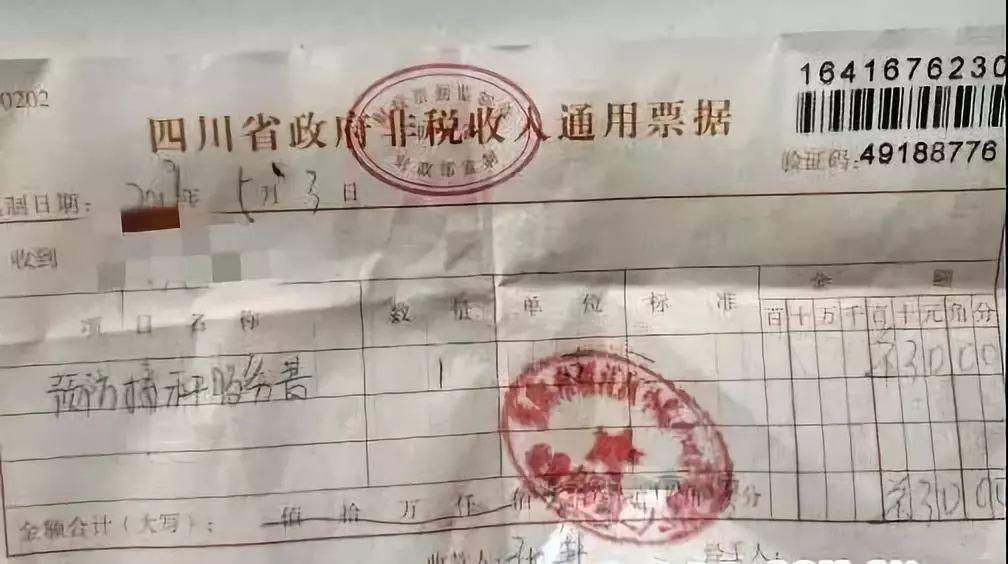 資陽(yáng)小院最新規(guī)劃圖，塑造未來(lái)宜居典范