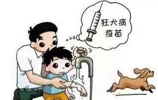 最新狂犬病發(fā)作視頻，理解與應(yīng)對的挑戰(zhàn)