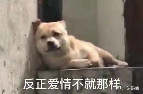 微信最新表情包含義，探索表情背后的故事與情感表達(dá)