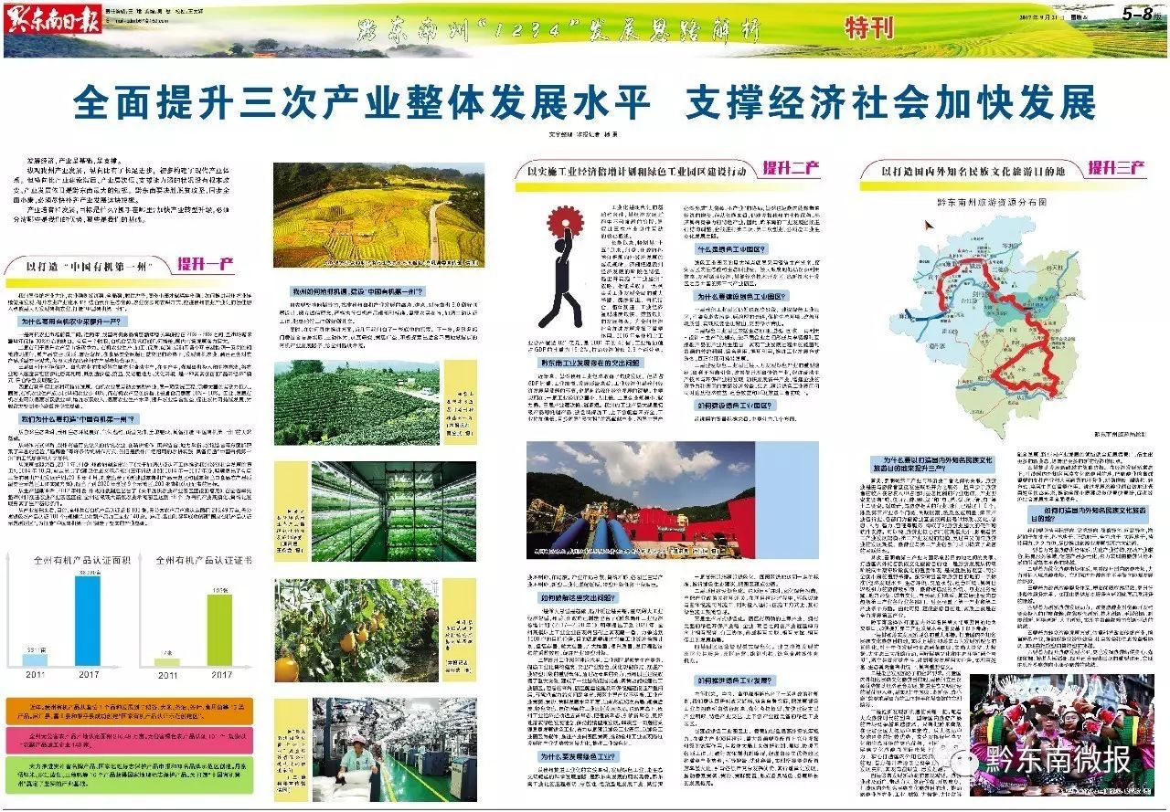 今期香港最新跑狗圖，探索與解讀