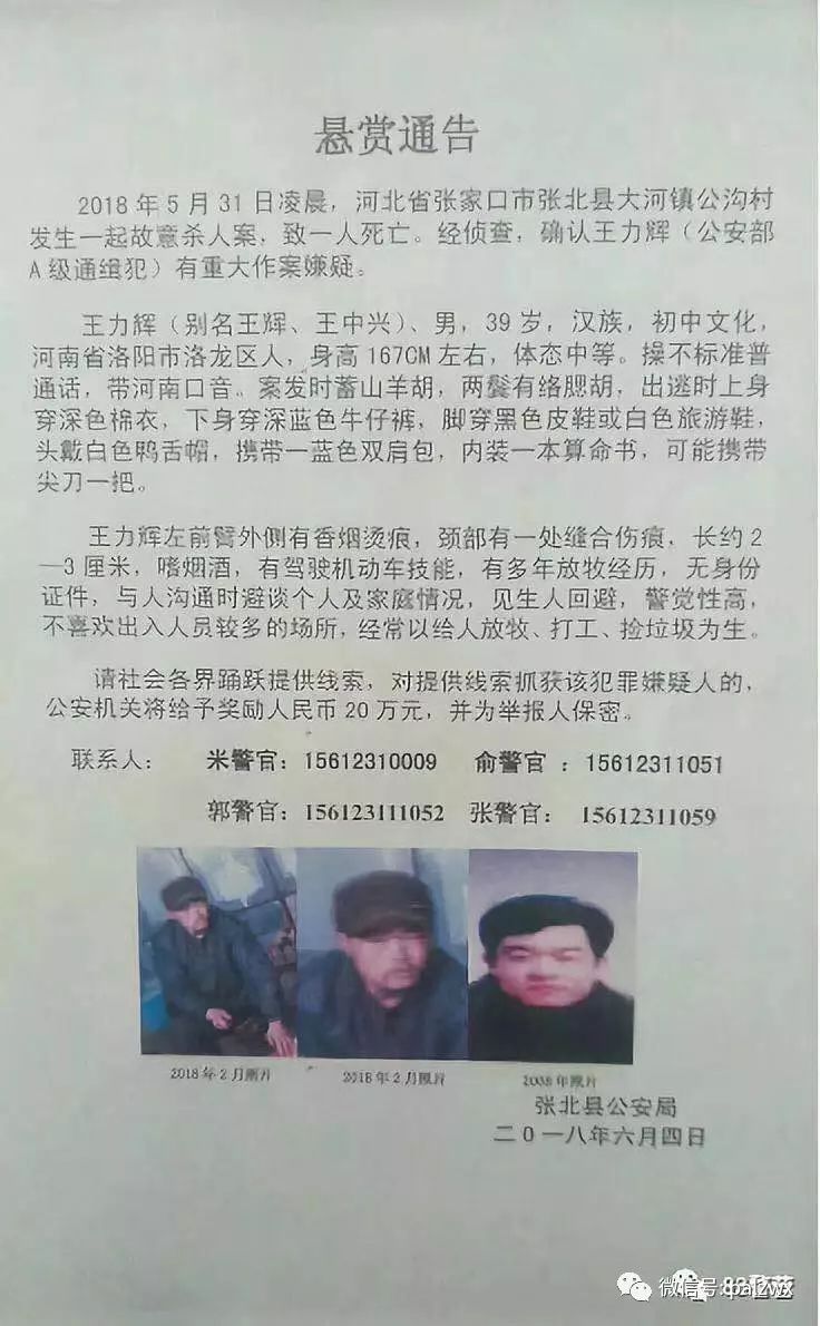 網(wǎng)上最新通緝犯名單，社會安全的警鐘長鳴