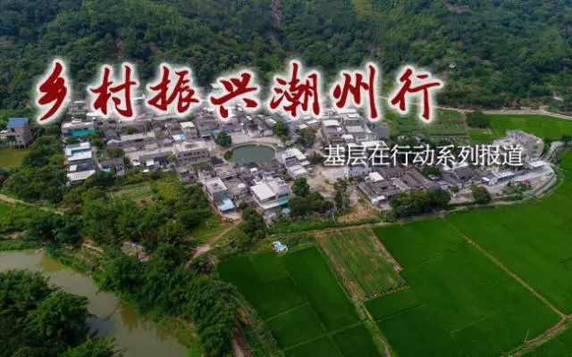 牧馬鎮(zhèn)蓮花村最新規(guī)劃，鄉(xiāng)村振興的藍(lán)圖展望