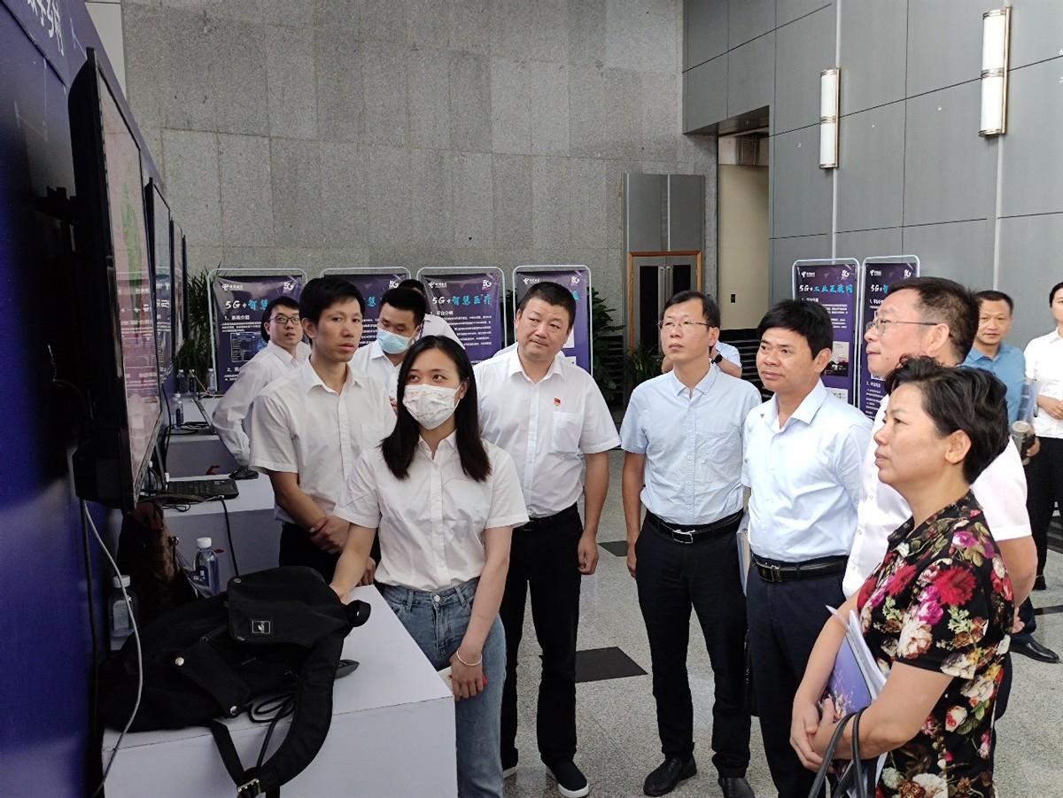 最新鳳凰衛(wèi)視直播源，探索與體驗