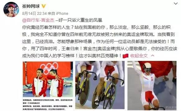 新澳門火鳳凰，力量釋義、解釋與落實資料大全