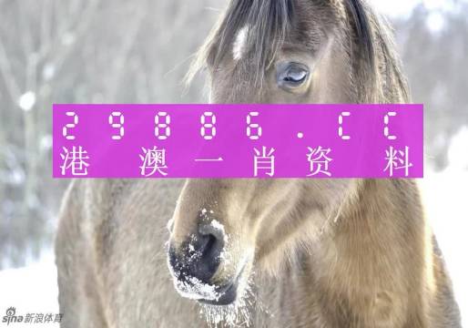 澳門一肖一碼100準(zhǔn)免費(fèi)，揭示背后的真相與風(fēng)險(xiǎn)