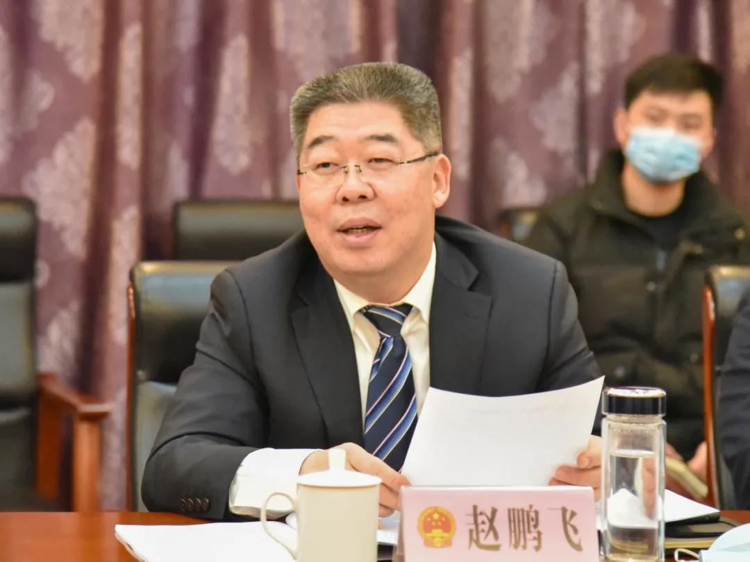 肥鄉(xiāng)房子最新消息，市場趨勢、政策影響及未來展望